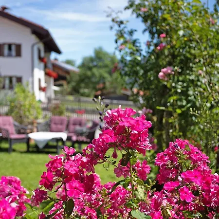 Apartman Loewenzahn